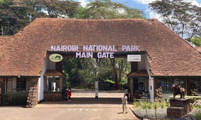 Half Day Guided Tour in Nairobi National Park With Jeep