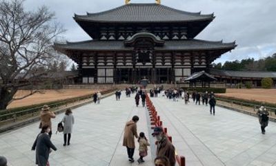 Nara Private Walking French Tour with Guide