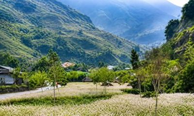 Ha Giang Loop 4D3N Small Group Tour With Private Rooms