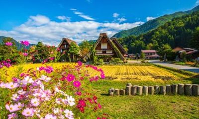 Central Japan Alpine Grand Expedition Private Tour from Nagoya