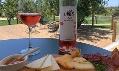 Half Day Safari Tour with Wine Tasting Private