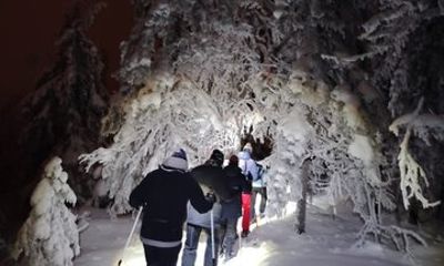 Magic of Vuokatti Northern Lights on Snowshoes