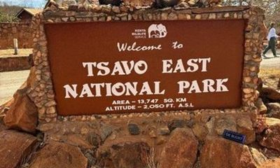 3 Day Tsavo East Safari with Salt Lick Lodge Stay