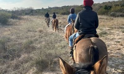 Colonia del Sacramento: Horseback riding in the countryside with optional picnic