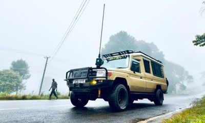 Nairobi National Park Half Day Safari in a 4x4 Vehicle