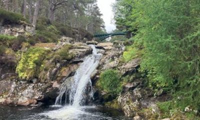 Guided Walk Balmoral Estate Royal Deeside Forest Waterfalls