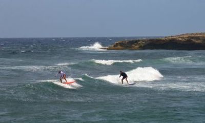 Surf Tour 2 Hour Session with Guidance