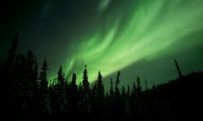 Private Aurora Chasing Bus Tour in Yellowknife