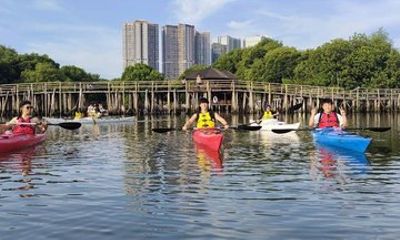 Experience The Jakarta Canoeing Mangrove