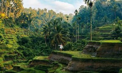 Ubud Hidden Gems Tour Nature Villages and Local Life