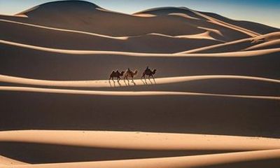 Gobi Tour with Dinosaur Fossils