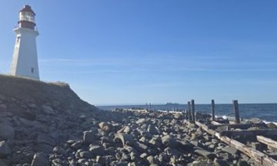 Sydney Costal Harbour And City Highlights Tour