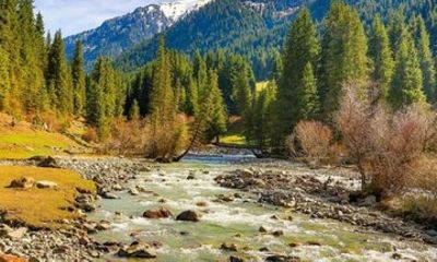 Ala-Archa National Park Sky Bridge and Chunkurchak Day Tour