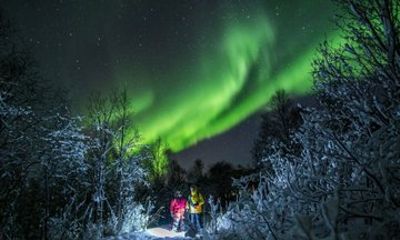 Tromsø Private Northern Lights Chase All Inclusive Max 15