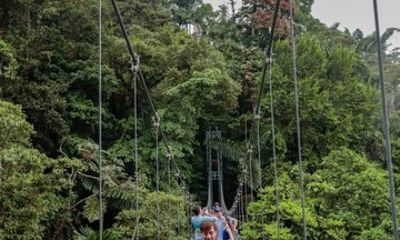 La Fortuna Hanging Bridges Waterfall and Tico Farm Lunch