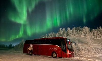 Northern Lights Chase in Alta, Norway with Local Guide
