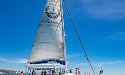 Scenic Day Catamaran Cruise from Cape Town Waterfront
