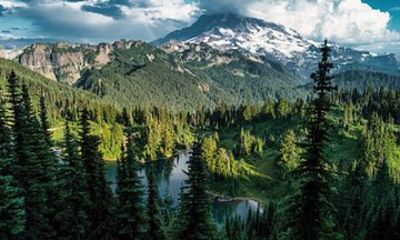 Private Mount Rainier National Park Tour from Seattle