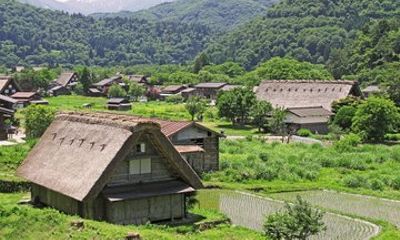 Shirakawa go World Heritage Village Private Tour from Nagoya