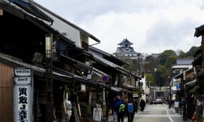 Inuyama Castle and Samurai Town Private Tour from Nagoya Port