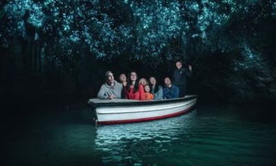 Waitomo Glowworm Caves and North Island Nature Tour from Auckland