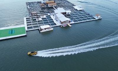 Penang Forest Island Catamaran Cruise with Dinner and Activities