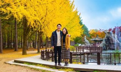 Seoul Private Tour to Nami Island and Garden of Morning Calm