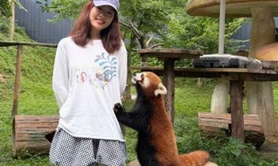 From Chengdu: Giant Pandas & Exclusive Red Panda Photo Experience