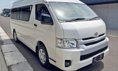 Ubud Private Sightseeing Car Charter