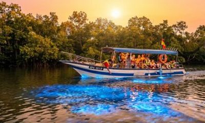 Kuala Lumpur to Kuala Selangor Private Tour and Transport