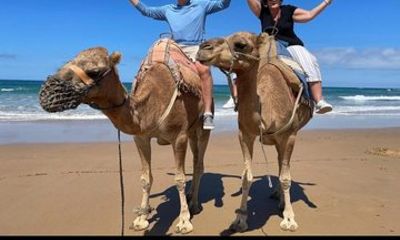 All Inclusive Luxury Tangier Day Trip from Cadiz