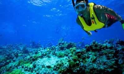 Marathon Snorkel Adventure