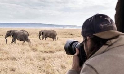 7 Day Tanzania Migration Safari