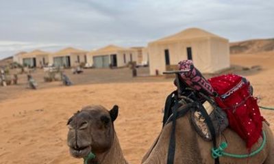 3 Day Fes to Marrakech Via Desert With Free Activity Dunes