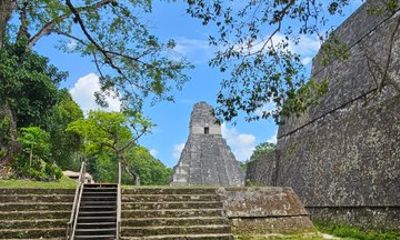 Guided Excursion to Tikal from Flores Mayan Temples Living History