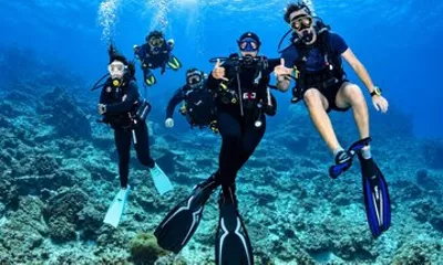 3 Dives Certified Scuba Diving Adventure in Pattaya