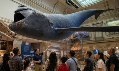 Smithsonian Natural History Guided Tour with Tickets