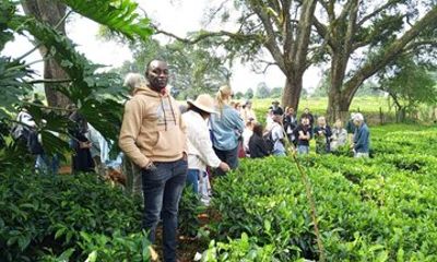Nairobi Tea Tour Kiambethu Tea Farm