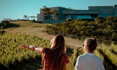 Garzón Winery Full Day with Lunch and Transportation Included