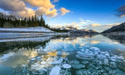 Private Tour of Abraham Lake Ice Bubbles and Icefields Parkway