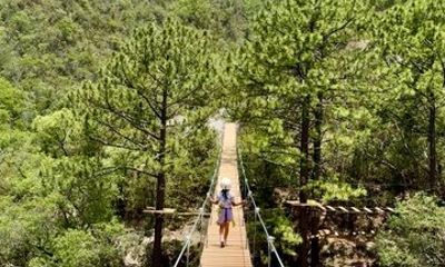 Xtreme Adventure Tour of 8 Zip Lines and Hanging Bridges