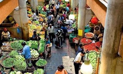 North Mauritius Highlights Tour with Guide and Transfers