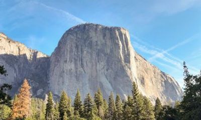 14 Group Yosemite National Park Day Tour from San Francisco