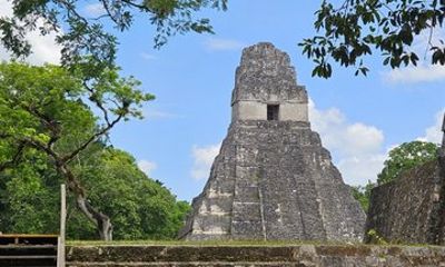 Small Group Guided Tour to Tikal from Flores Mayas and Nature