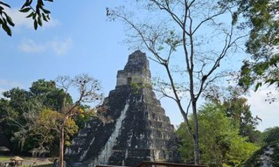 Classic Tour to Tikal from Flores Mayan Temples and Tropical Jungle