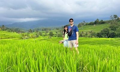Bali Jatiluwih Rice Terraces Walking Tour And Tanah Lot Temple