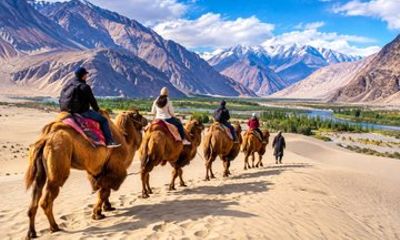 3D2N Leh–Nubra–Pangong Lake Tour with Hotel Pickup and Drop