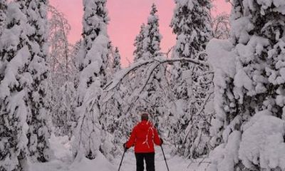 Reindeer Farm Visit and Snowshoe Adventure in wilderness Village