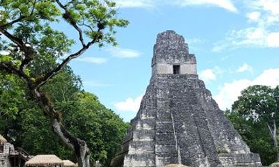 Full Day Tour to Tikal from Flores Airport