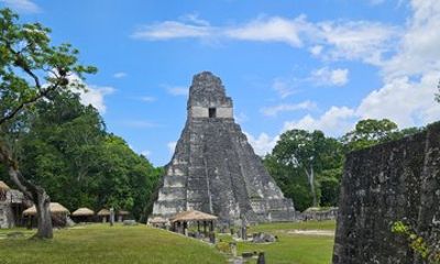 Private Tour Tikal Classic Full Day Exclusive from Flores